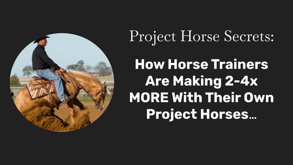 NEW VERSION 3 - Horse Trainer Profits Workshop